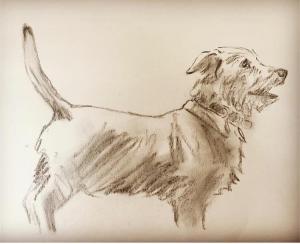 Terrier in charcoal